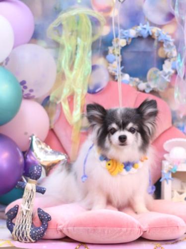 20240802ミルクくん